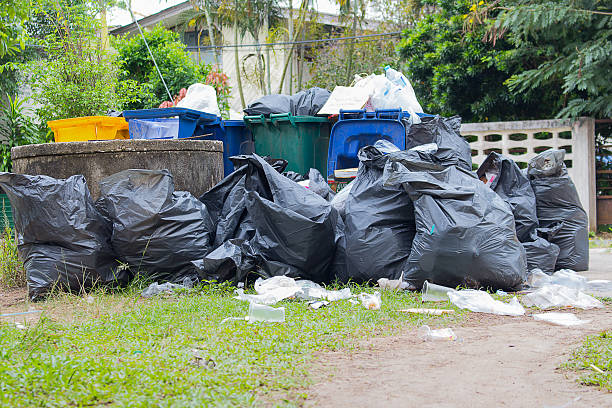 Attic Cleanout Services in Hallsville, TX